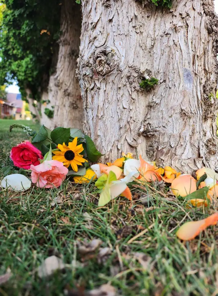 erdőtündér avatás gyerekeknek