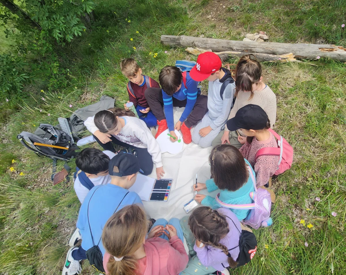 napközis gyerektábor erdei